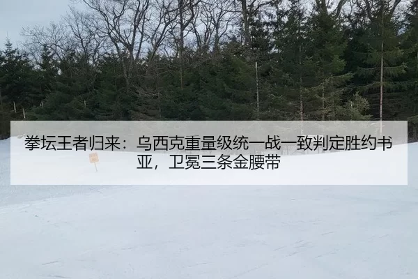 quan-tan-wang-zhe-gui-lai-wu-xi-ke-zhong-liang-ji-tong-yi-zhan-yi-zhi-pan-ding-sheng-yue-shu-ya-wei-mian-san-tiao-jin-2-551.jpg