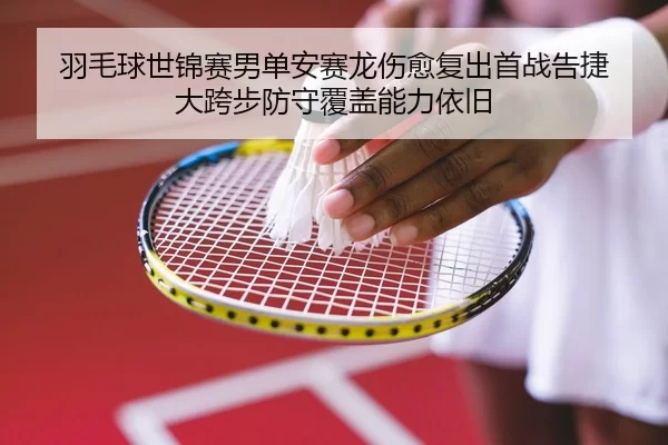 yu-mao-qiu-shi-jin-sai-nan-dan-an-sai-long-shang-yu-fu-chu-shou-zhan-gao-jie-da-kua-bu-fang-shou-fu-gai-neng-li-yi-jiu-2-886.jpg
